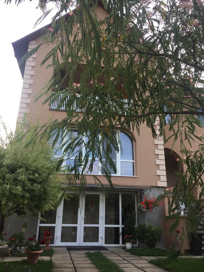 Private House Apartment Berehove  Exterior photo