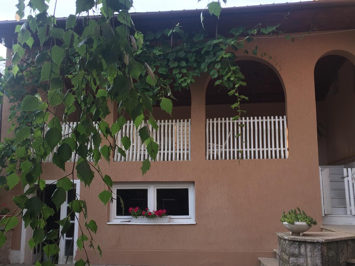 Private House Apartment Berehove  Exterior photo